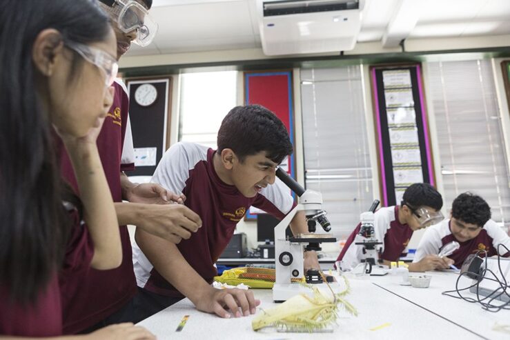 Jerudong International School (JIS)